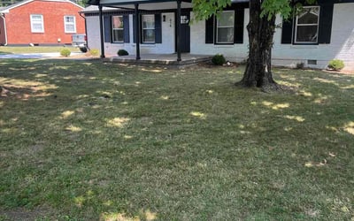 Photo of Melissa M.'s yard after getting lawn care in White Bluff, TN