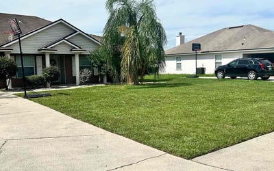 Photo of Jennifer H.'s yard after getting lawn care in Great Neck, NY