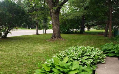 Photo of Thomas K.'s yard after getting lawn care in Fort Smith, AR