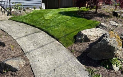 Photo of Eric K.'s yard after getting lawn care in Seattle, WA