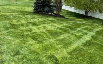 Photo of Jude O.'s yard after getting lawn care in Papillion, NE