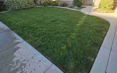 Photo of Brittany N.'s yard after getting lawn care in Meridian, ID