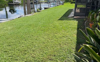 Photo of Rebecca F.'s yard after getting lawn care in Port Charlotte, FL