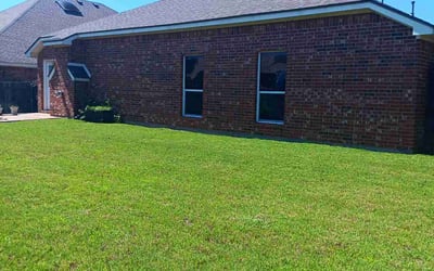 Photo of Rita D.'s yard after getting lawn care in Weslaco, TX