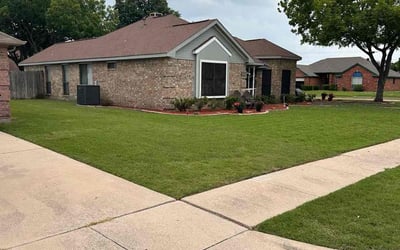 Photo of Angela H.'s yard after getting lawn care in Forney, TX