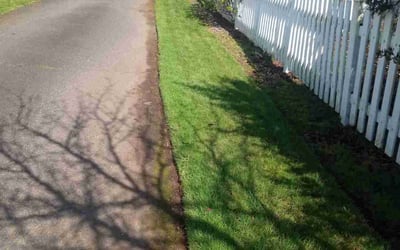 Photo of Rick H.'s yard after getting lawn care in Washougal, WA