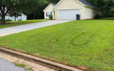 Photo of Linda H.'s yard after getting lawn care in Boardman, OH