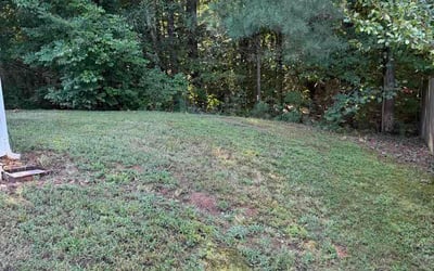 Photo of Vita P.'s yard after getting lawn care in Midland, TX