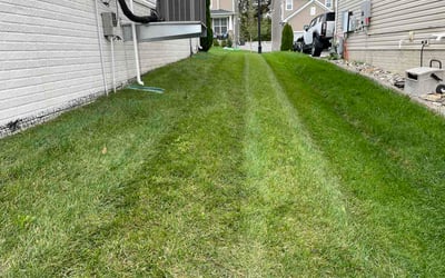 Photo of Kevin H.'s yard after getting lawn care in Severn, MD