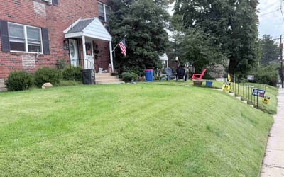 Photo of Elizabeth H.'s yard after getting lawn care in Springfield, MO