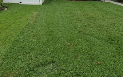 Photo of Arnold W.'s yard after getting lawn care in Tavares, FL