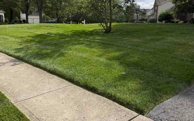 Photo of Morgan W.'s yard after getting lawn care in Clarksville, IN