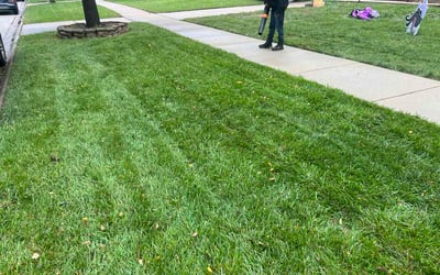 Photo of Sam Z.'s yard after getting lawn care in Jacksonville, FL
