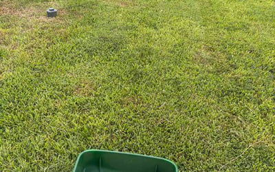 Photo of Marty F.'s yard after getting lawn care in Jacksonville, FL
