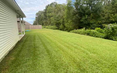 Photo of Eric I.'s yard after getting lawn care in Wethersfield, CT