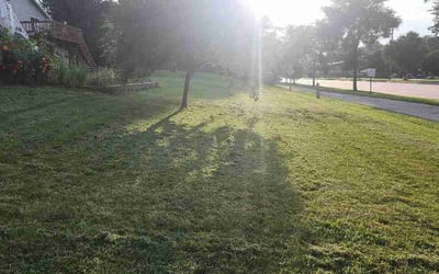 Photo of Christine L.'s yard after getting lawn care in Nottingham, MD