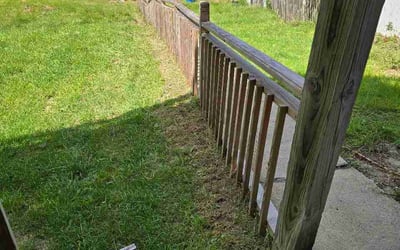 Photo of Kathleen A.'s yard after getting lawn care in Mandeville, LA