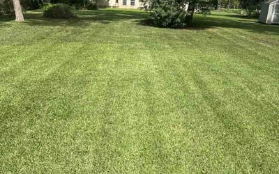 Photo of Kristie C.'s yard after getting lawn care in Gulf Breeze, FL