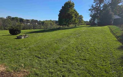 Photo of Parin A.'s yard after getting lawn care in West Haven, CT