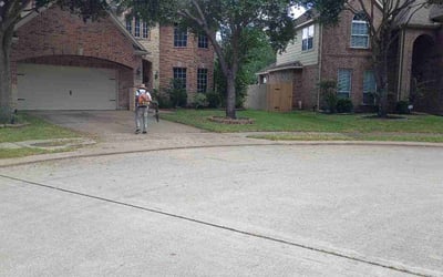 Photo of Luisa T.'s yard after getting lawn care in Houston, TX
