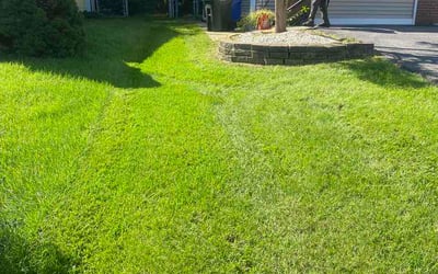 Photo of Chris M.'s yard after getting lawn care in Austin, TX