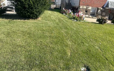 Photo of Vijaya S.'s yard after getting lawn care in O'Fallon, MO