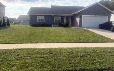 Photo of Harrison F.'s yard after getting lawn care in Manvel, TX