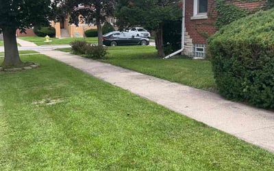 Photo of Sarah S.'s yard after getting lawn care in Gulfport, FL