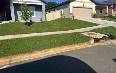 Photo of Jeremy C.'s yard after getting lawn care in Panama City Beach, FL
