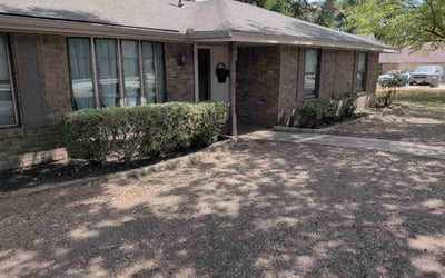 Photo of Missy Y.'s yard after getting lawn care in Hutto, TX