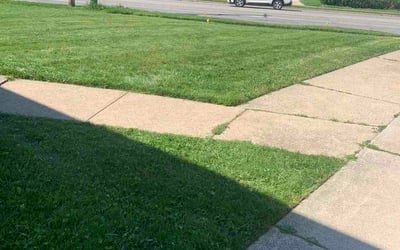 Photo of Anthony C.'s yard after getting lawn care in Cumberland, RI