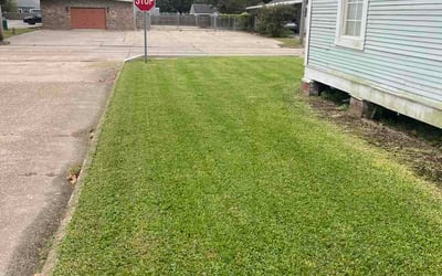 Photo of Jamali T.'s yard after getting lawn care in Mason, MI