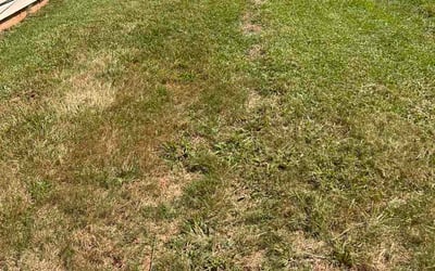Photo of Martha M.'s yard after getting lawn care in Cuyahoga Falls, OH