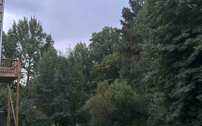 Photo of Steve B.'s yard after getting lawn care in Stroudsburg, PA