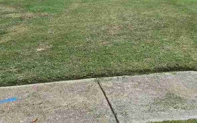 Photo of Kimberly B.'s yard after getting lawn care in Richton Park, IL