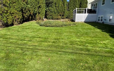Photo of Mitchell H.'s yard after getting lawn care in Greenbrier, TN