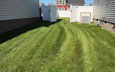Photo of Logan T.'s yard after getting lawn care in Springfield, MO
