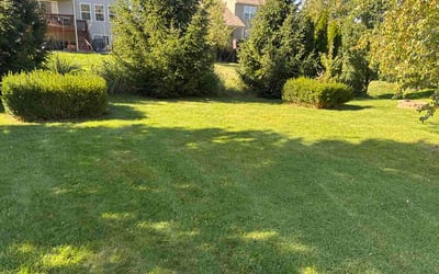 Photo of Herman H.'s yard after getting lawn care in Glen Ellyn, IL