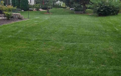 Photo of Leonardo S.'s yard after getting lawn care in Havertown, PA