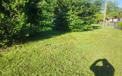Photo of Michael H.'s yard after getting lawn care in Evanston, IL