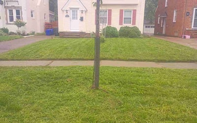 Photo of George R.'s yard after getting lawn care in Carol Stream, IL