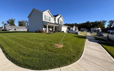 Photo of Dianne P.'s yard after getting lawn care in Newport, KY