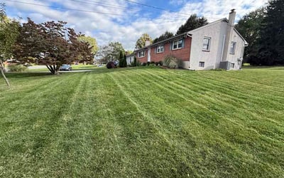 Photo of Telisha S.'s yard after getting lawn care in Clive, IA