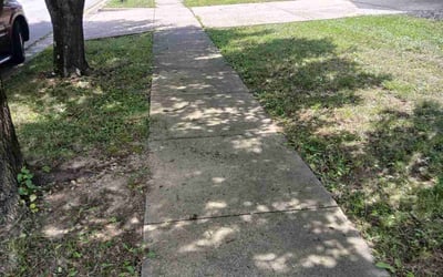 Photo of Rob H.'s yard after getting lawn care in Covington, KY