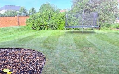 Photo of Jalon B.'s yard after getting lawn care in Decatur, IL