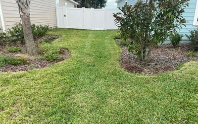 Photo of Jacqueline M.'s yard after getting lawn care in Hendersonville, TN
