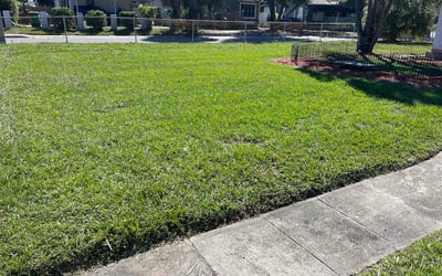 Photo of Lilli S.'s yard after getting lawn care in Austin, TX