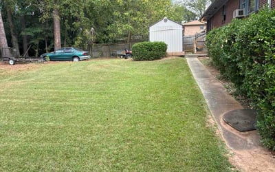 Photo of Janelle M.'s yard after getting lawn care in Westport, CT