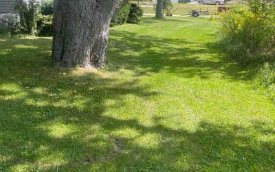 Photo of Virinder K.'s yard after getting lawn care in Hopkinton, MA