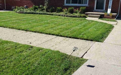 Photo of Paulette C.'s yard after getting lawn care in Richton Park, IL